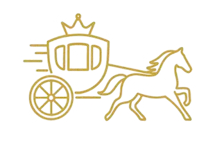 Szybka dostawa
